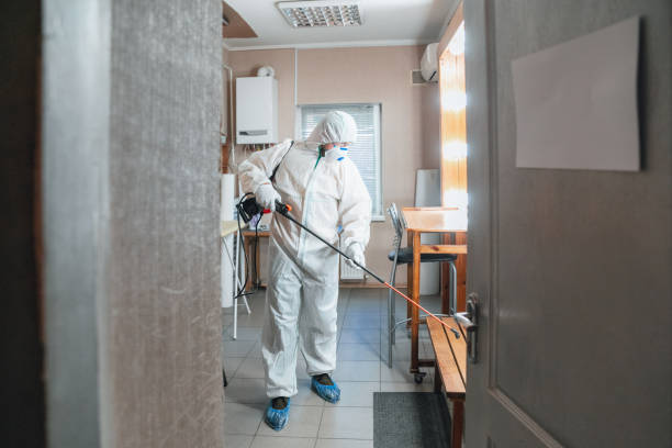 Why You Should Choose Our Mold Remediation Services in Midway, UT